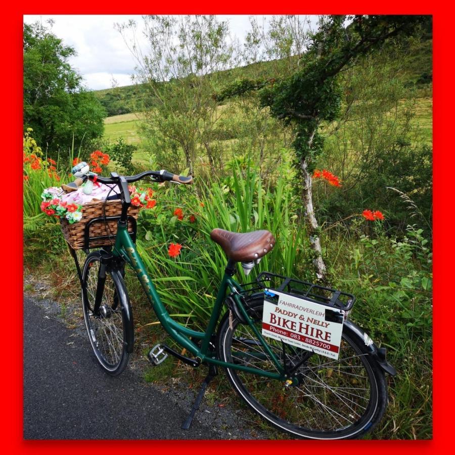 Nellys Bed And Bikes Ξενοδοχείο Γουέστπορτ Εξωτερικό φωτογραφία